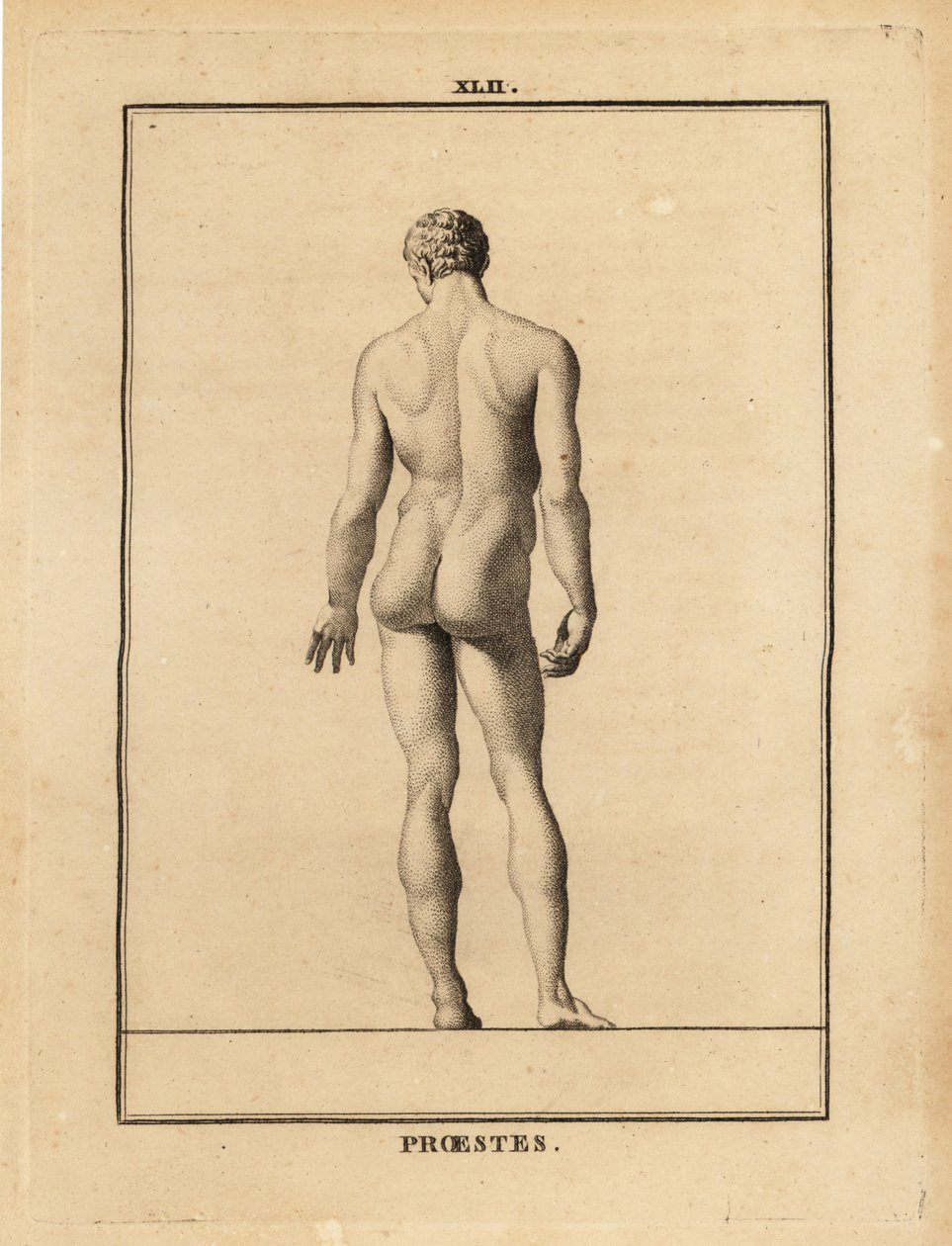 Standbeeld van Orestes, naakt, zoon van Agamemnon in de Griekse mythologie door Unbekannt