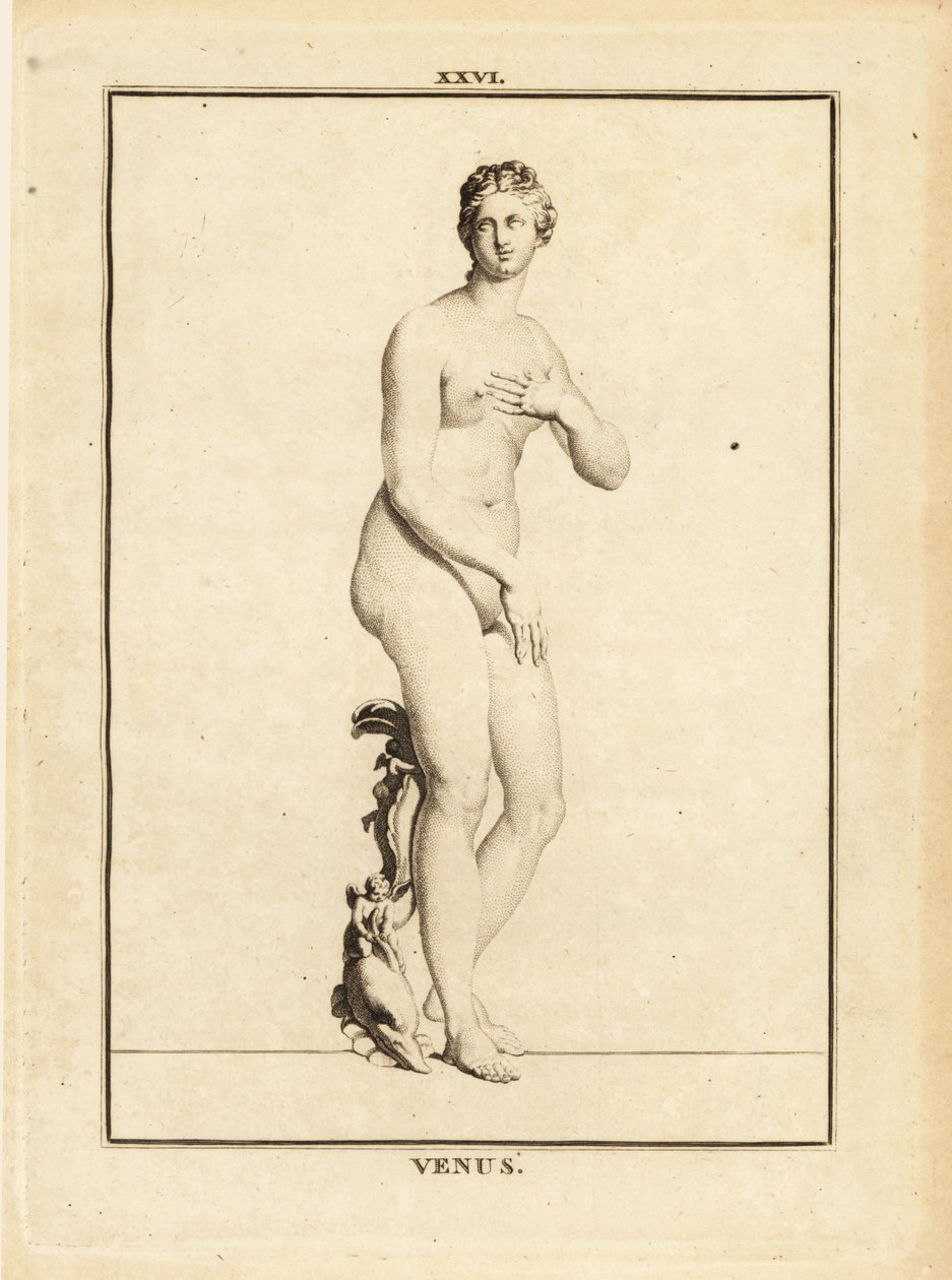 Standbeeld van Venus, Romeinse godin van liefde, schoonheid, seks en vruchtbaarheid door Unbekannt