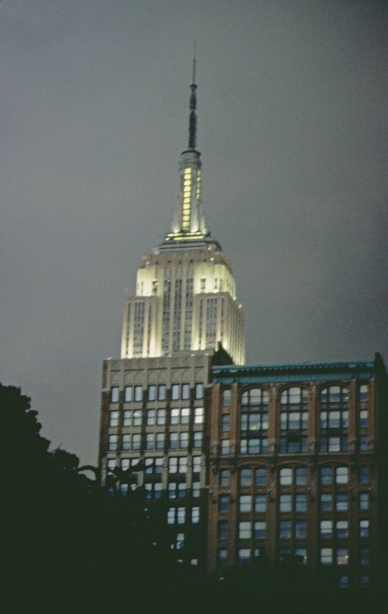 Het Empire State Building bij nacht door Unbekannt