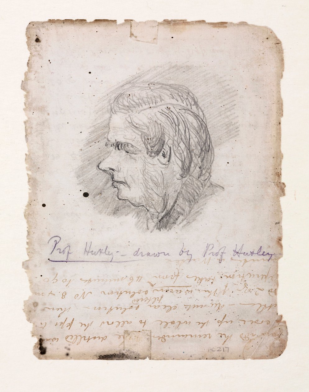 Thomas Henry Huxley, Engelse bioloog, midden-late 19e eeuw door Unbekannt