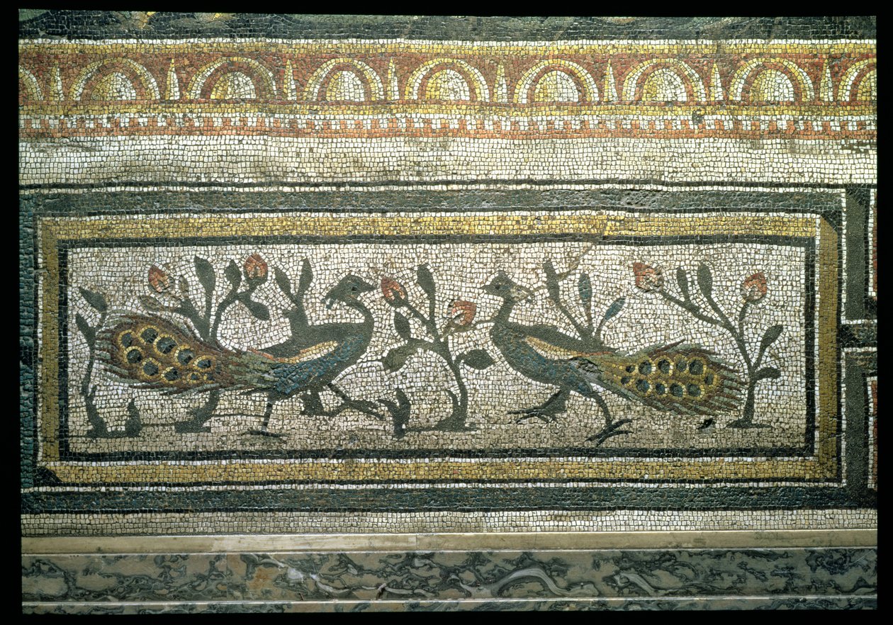 Twee pauwen, decoratieve randdetail van een mozaïekvloer die de seizoenen en jachtscènes uitbeeldt, van de Constantijnse Villa in Daphne, Romeins, ca. 325-330 n.Chr. door Unbekannt