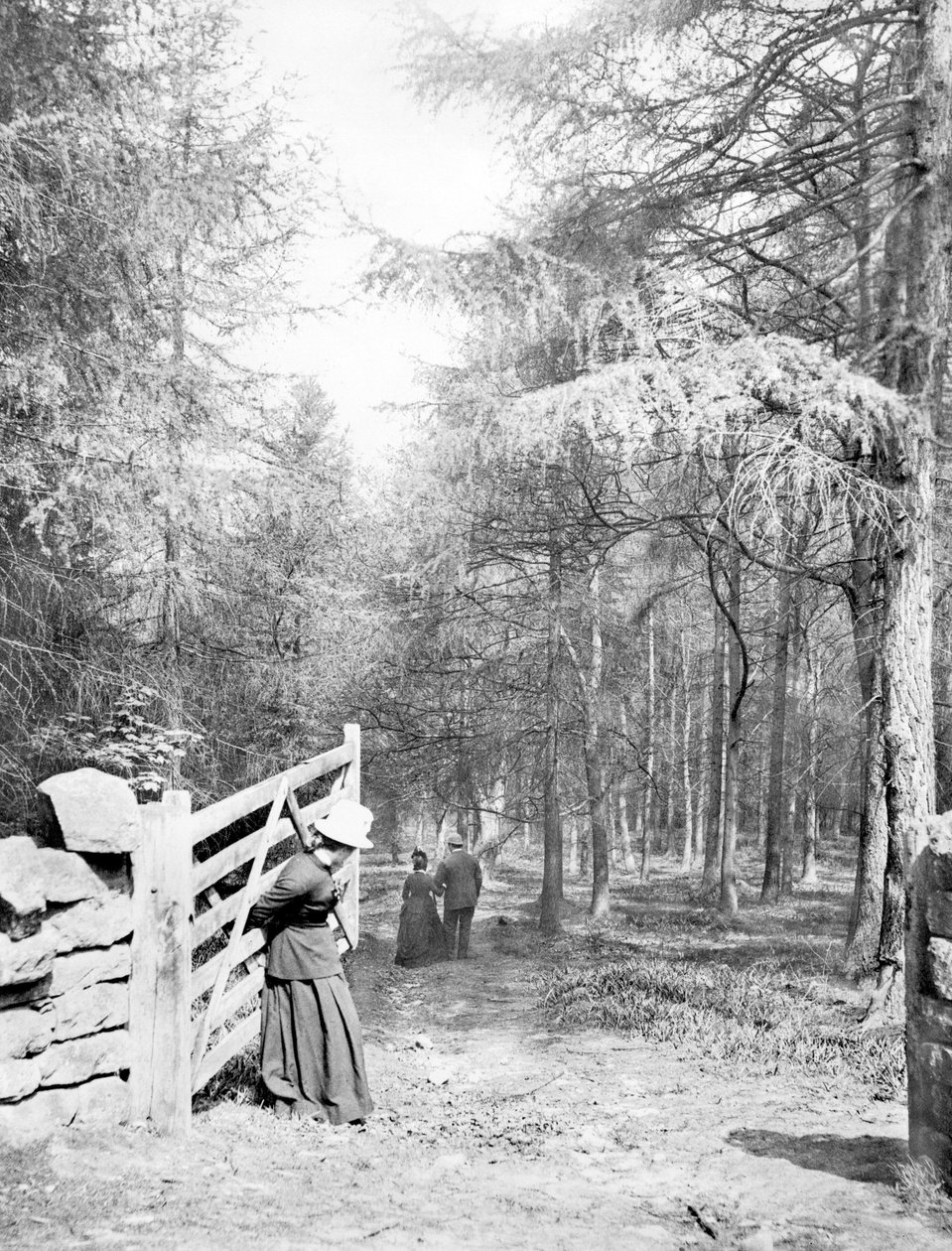Verenigd Koninkrijk: Eaton Woods, ca. 1890 door Unbekannt