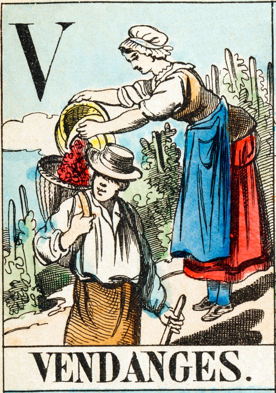 V Vendanges - "Alfabet van de boerderij" eind 19e eeuw (gravure) door Unbekannt