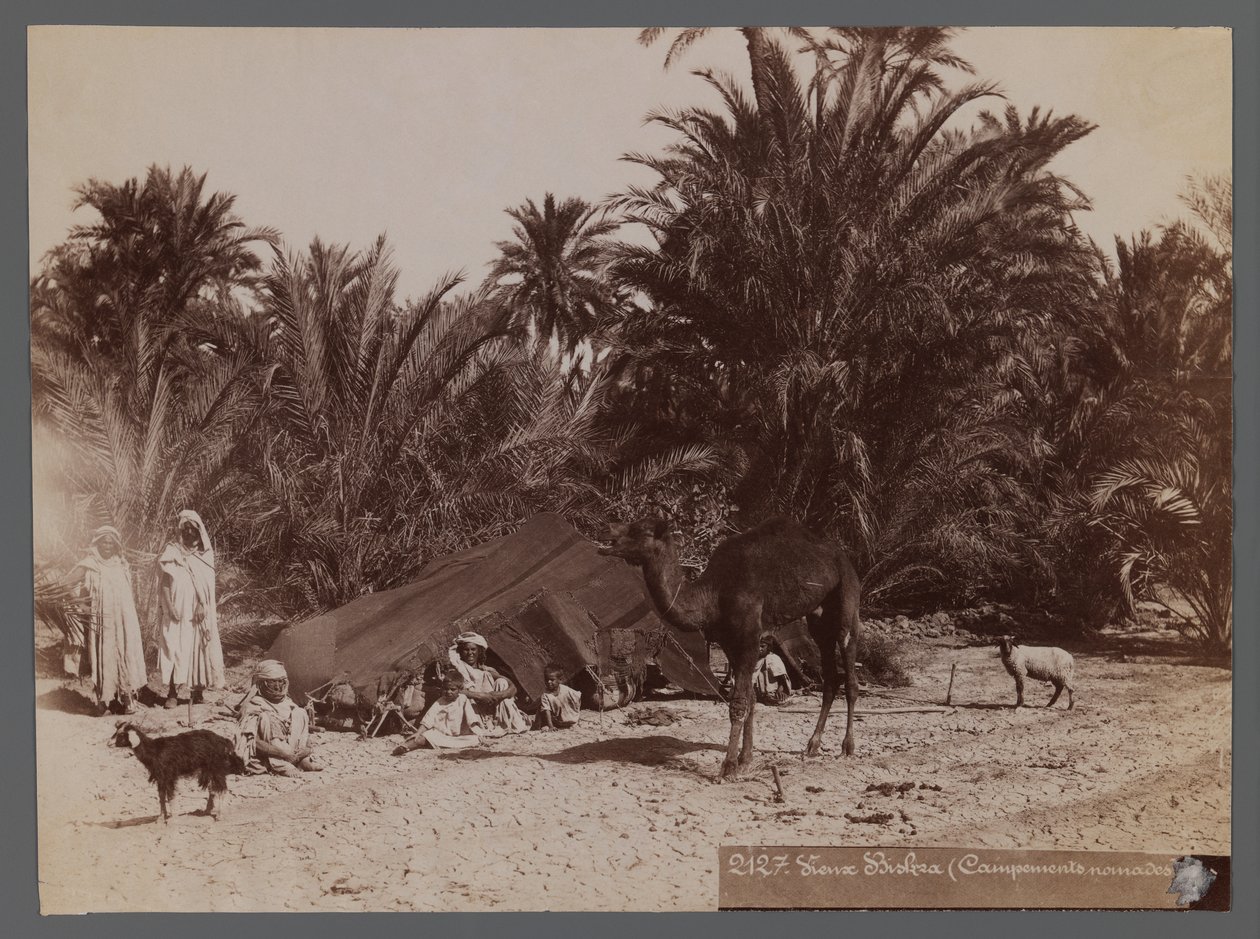Uitzicht vanaf een locatie in Noord-Afrika - Nomadenkamp (albumine fotografische print) door Unbekannt