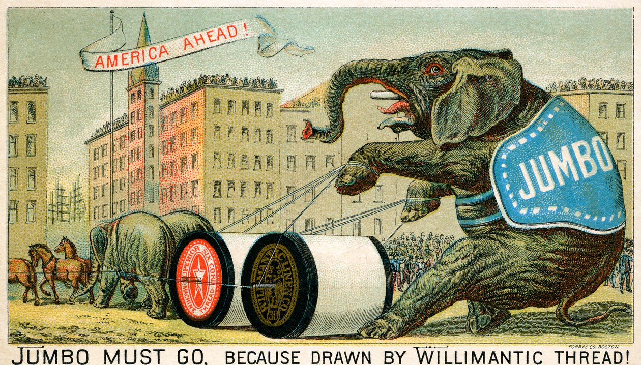 Willimantic Thread - late 19e eeuwse advertentie door Unbekannter Künstler