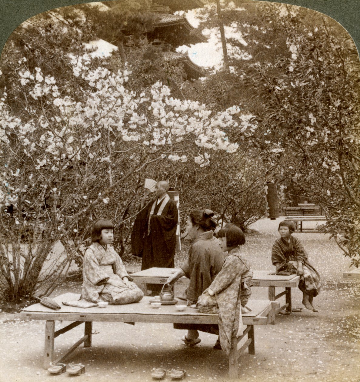 Een familie geniet van een picknick onder de kersenbloesems, Omuro Gosho, Kyoto, Japan, 1904 door Underwood and Underwood