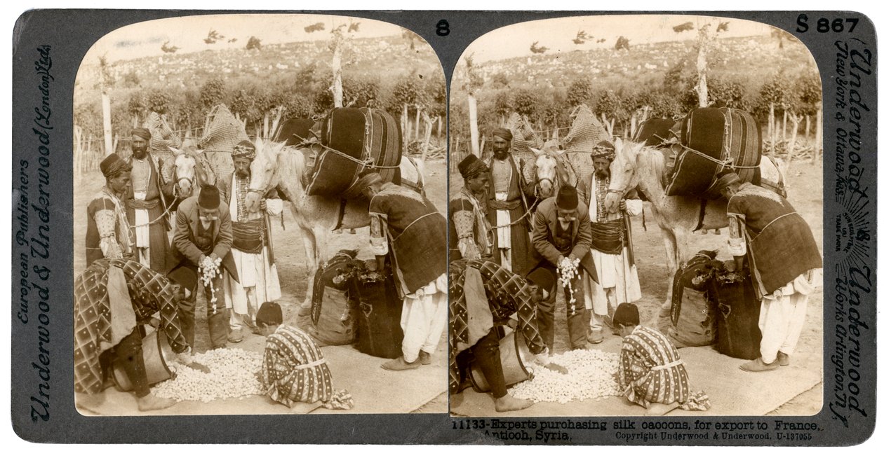 Experts die zijdecocons kopen, voor export naar Frankrijk, Antiochië, Syrië, 1900s door Underwood and Underwood