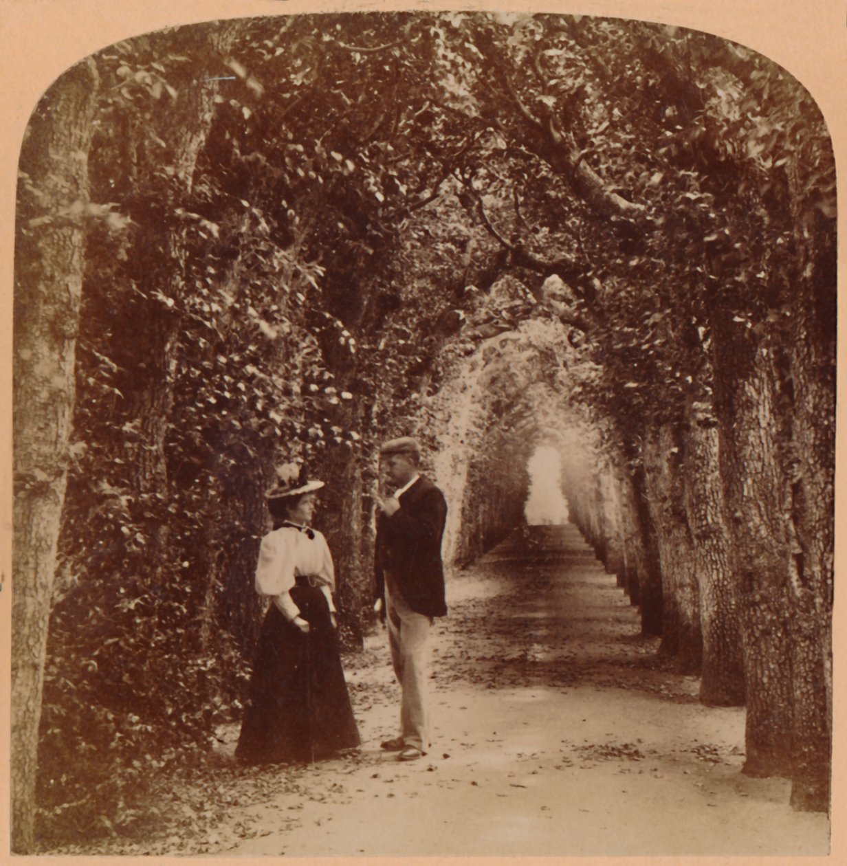 Queen Marys Bower, Hampton Court, Londen, Engeland door Underwood and Underwood