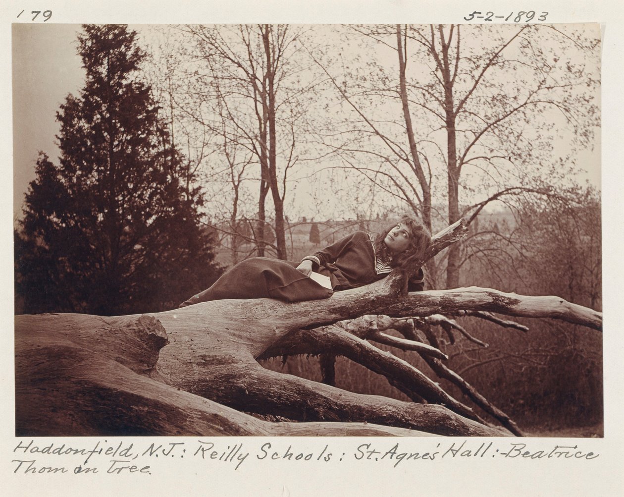 [Beatrice Thom on Tree, Haddonfield, New Jersey]. door Unidentified