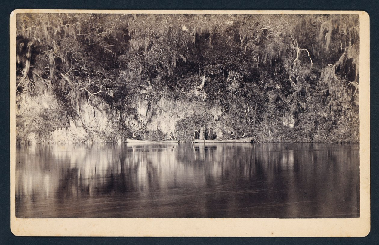 [Onder de Bluffs van de Withlacoochee Rivier, Florida]. door Unidentified