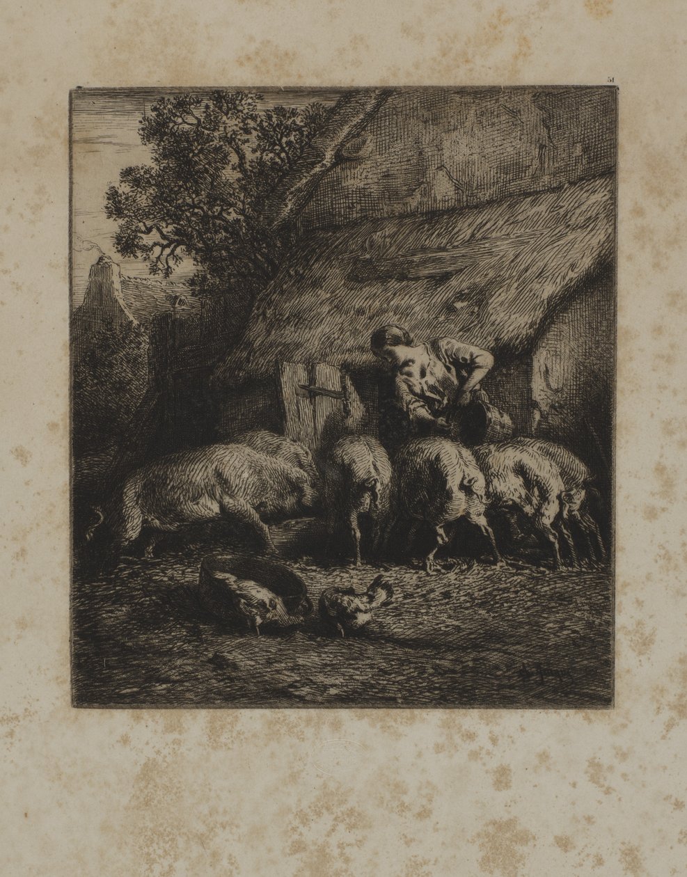 Vrouw die varkens voert door Unidentified