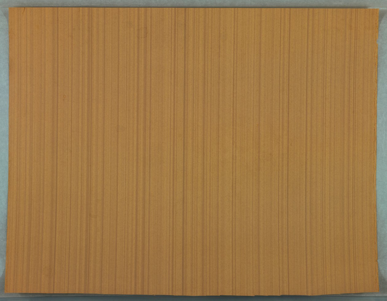 Wandbekleding (mogelijk Frankrijk), 1895-1905 door Unknown