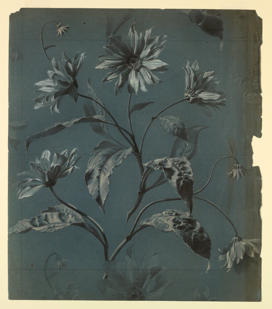 Ontwerp voor behang of textiel van madeliefachtige bloem met herhaling door Unknown