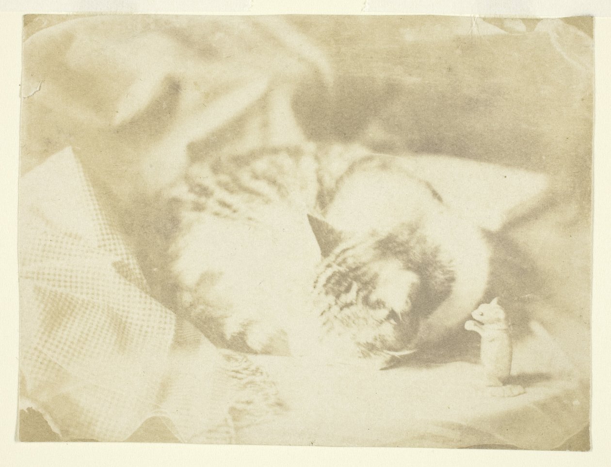 De kat van Mevr. Craik door Unknown