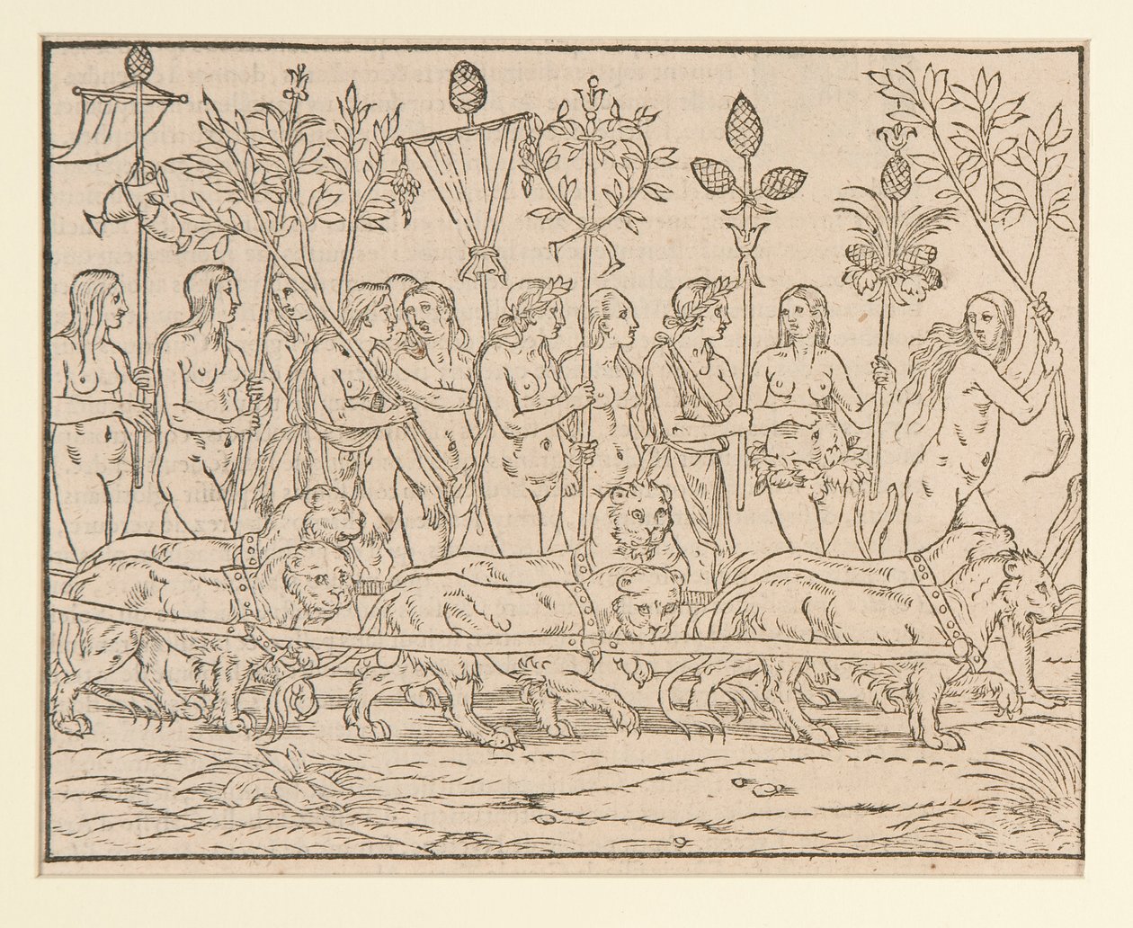 Pagina uit een kopie na Colonna door Unknown