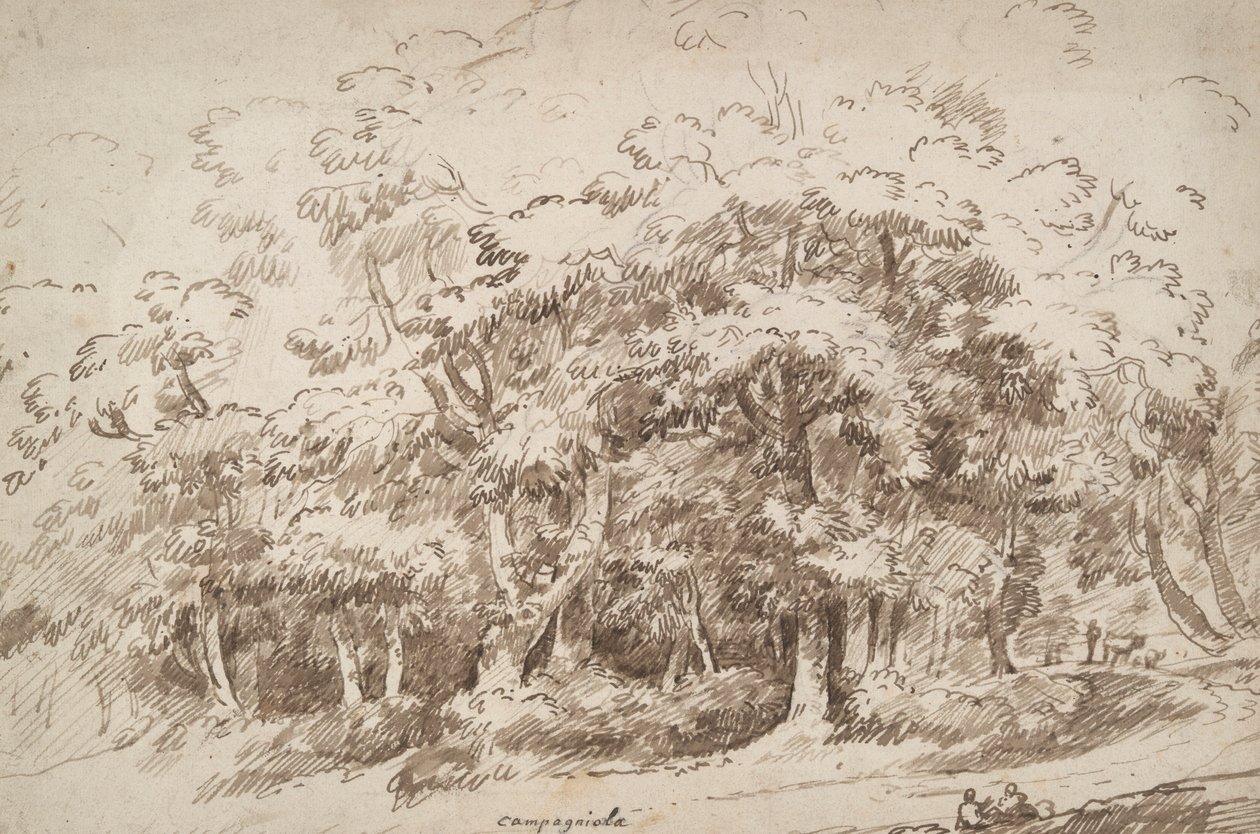 Studie van bomen door Unknown