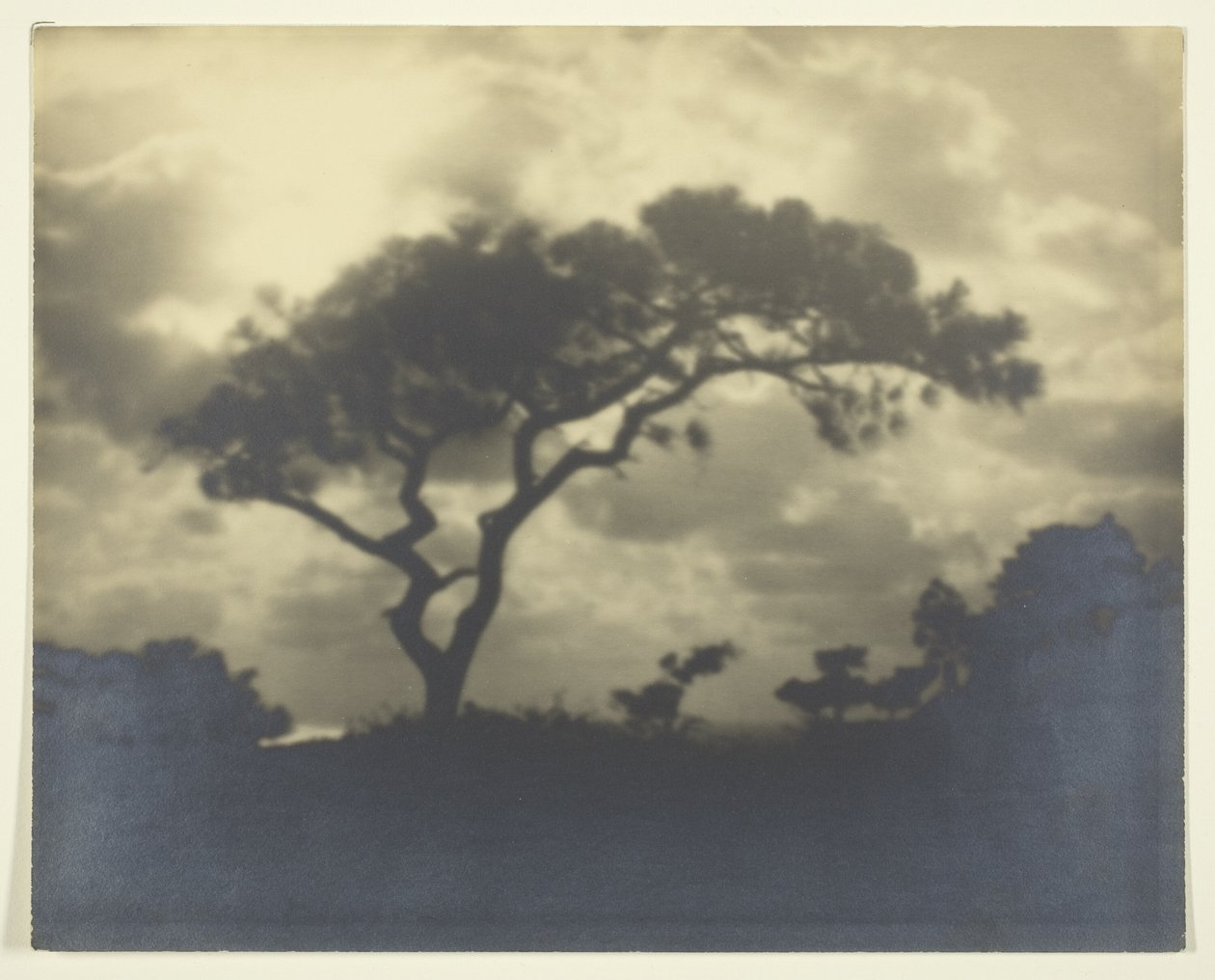Zonder Titel (Bewolkt Landschap met Boom) door Unknown