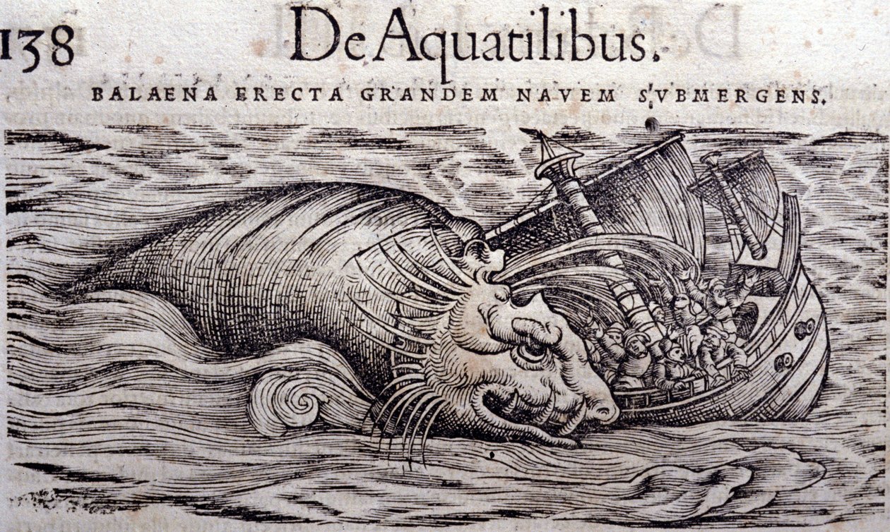 Een walvis vernietigt de romp van een boot en veroorzaakt het zinken. Gravure in Historia Animalium door Conrad Gesner (1516 - 1565), Tiguri door Unknown artist