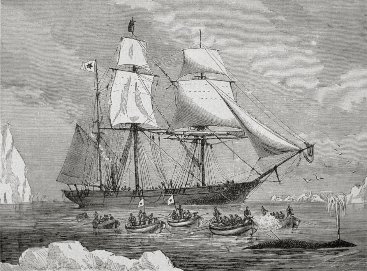 Een walvisvaarder met een boot vast aan een 