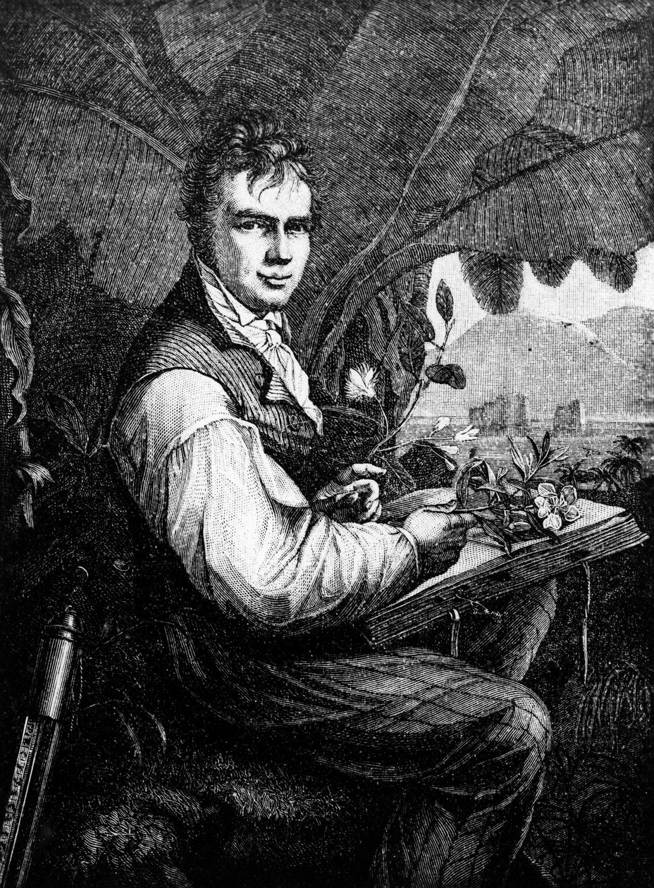 Alexander Von Humboldt (Alexander de Humboldt) door Unknown artist