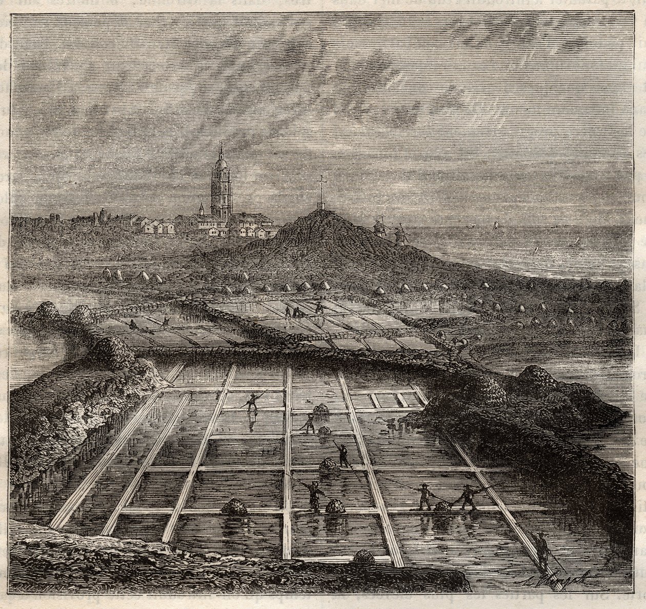 Batz sur Mer, Bretagne, Frankrijk - Zoutproductie. Uitzicht op een zoutmoeras in West-Frankrijk - gravure in 