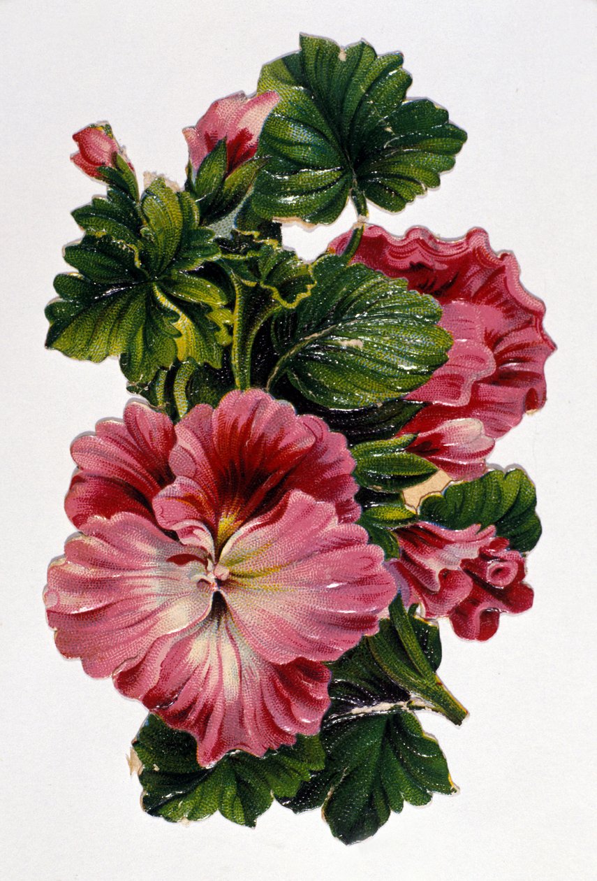 Boeket bloemen. Chromolithografie uit de 19e eeuw. door Unknown artist