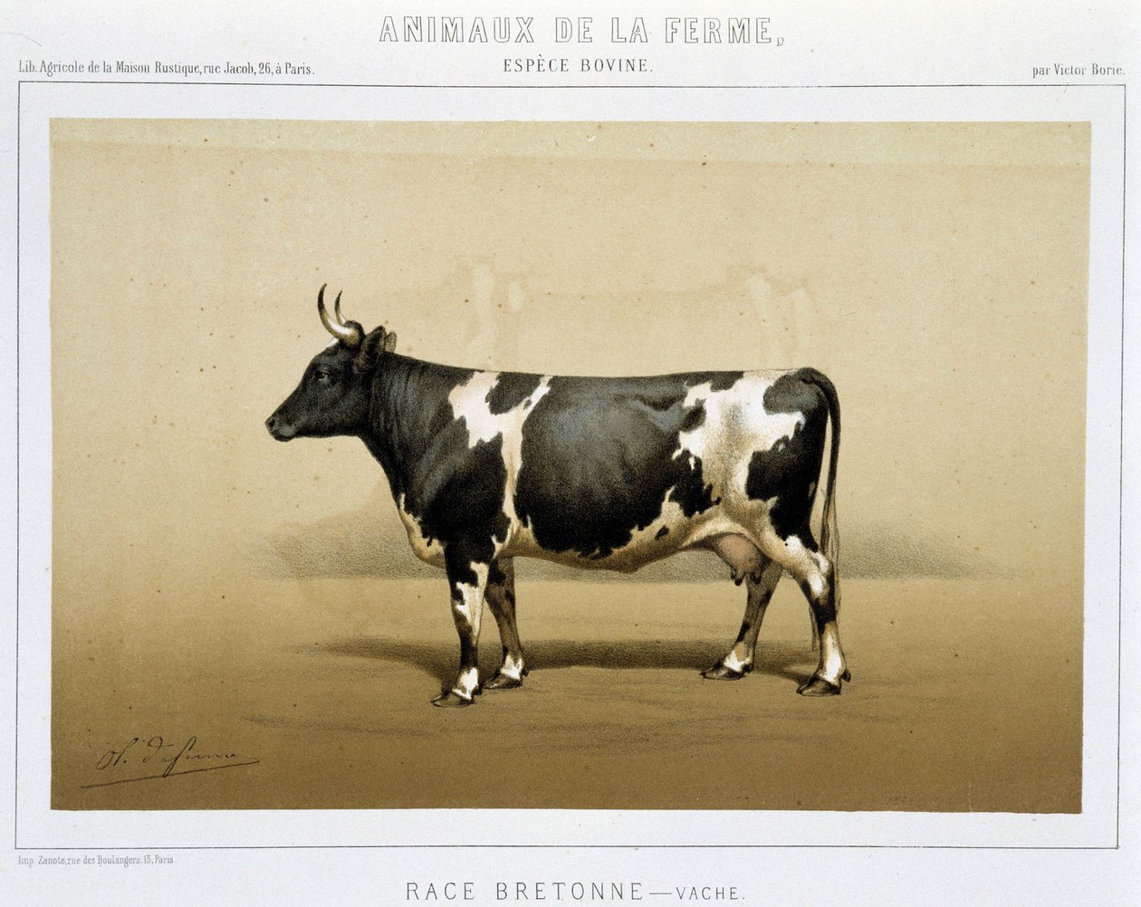 Bretonse koe door Unknown artist