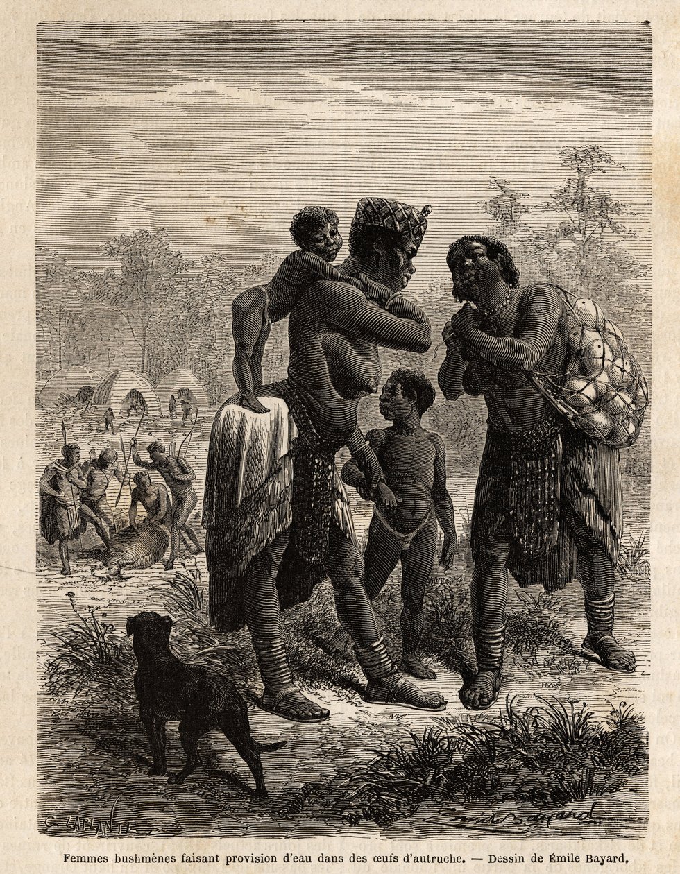 Bosjesmannen die water opslaan in struisvogeleieren, vergezeld door hun kinderen. Gravure ter illustratie van Dr. Livingstone