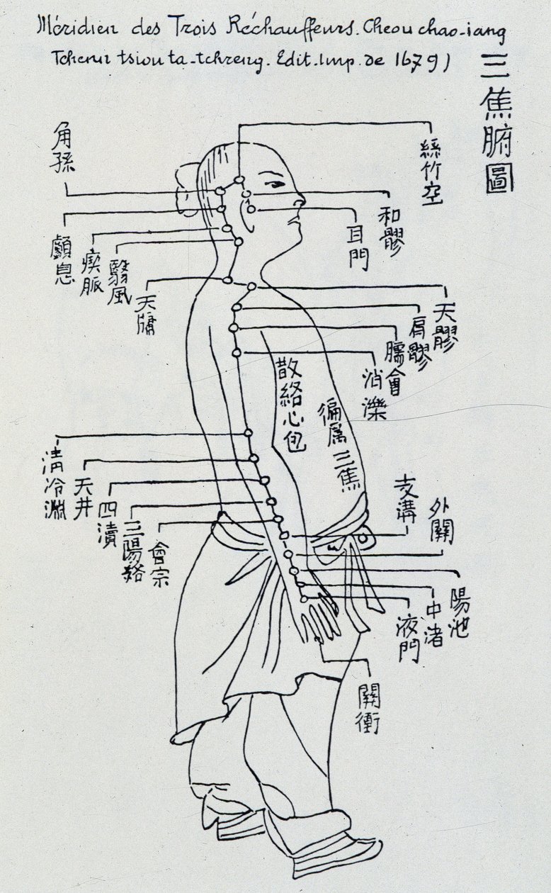 Chinese acupunctuur: de meridiaan van de drie verwarmers door Unknown artist