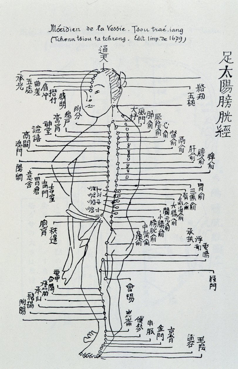 Chinese acupunctuur: de meridiaan van de blaas door Unknown artist