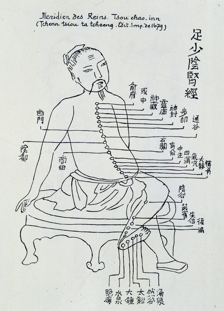 Chinese acupunctuur: de meridiaan van de nieren door Unknown artist