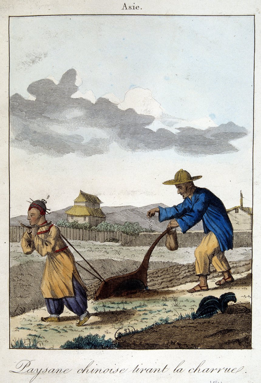 Chinese boer trekt de ploeg. In 