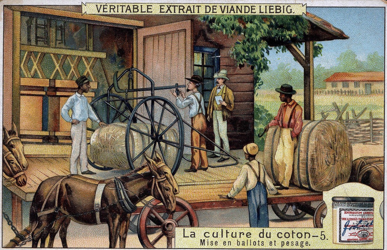 Katoenteelt: Balen en Wegen (VS) Liebig chromolithografie van de 19e eeuw door Unknown artist