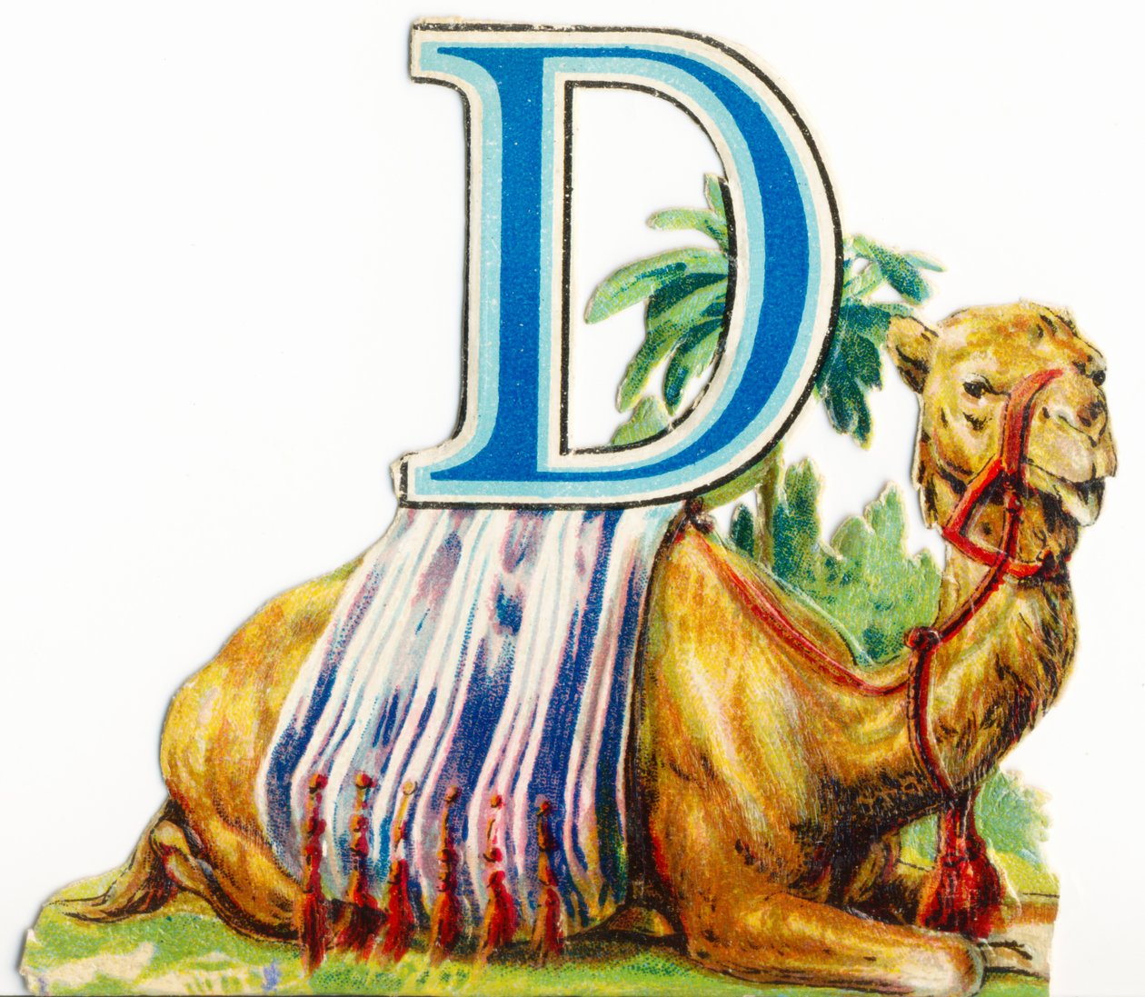 D: Dromedaris door Unknown artist