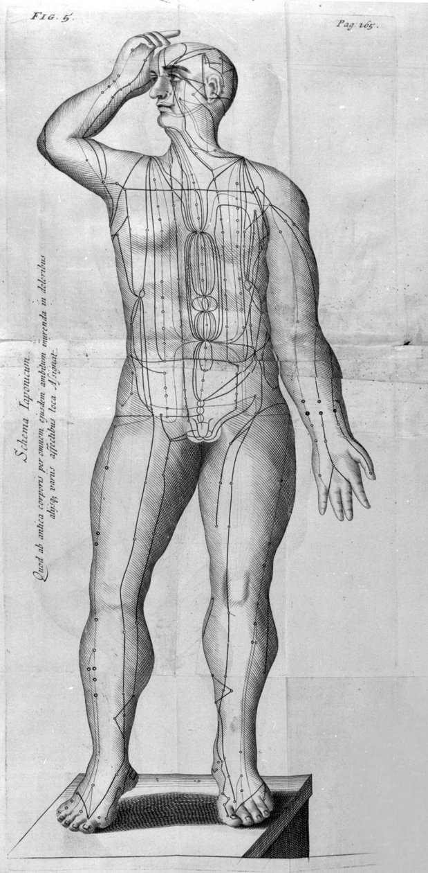 De Acupunctura door W. Ten Rhijne. Londen 1683. Eerste westerse tekst over acupunctuur door Unknown artist