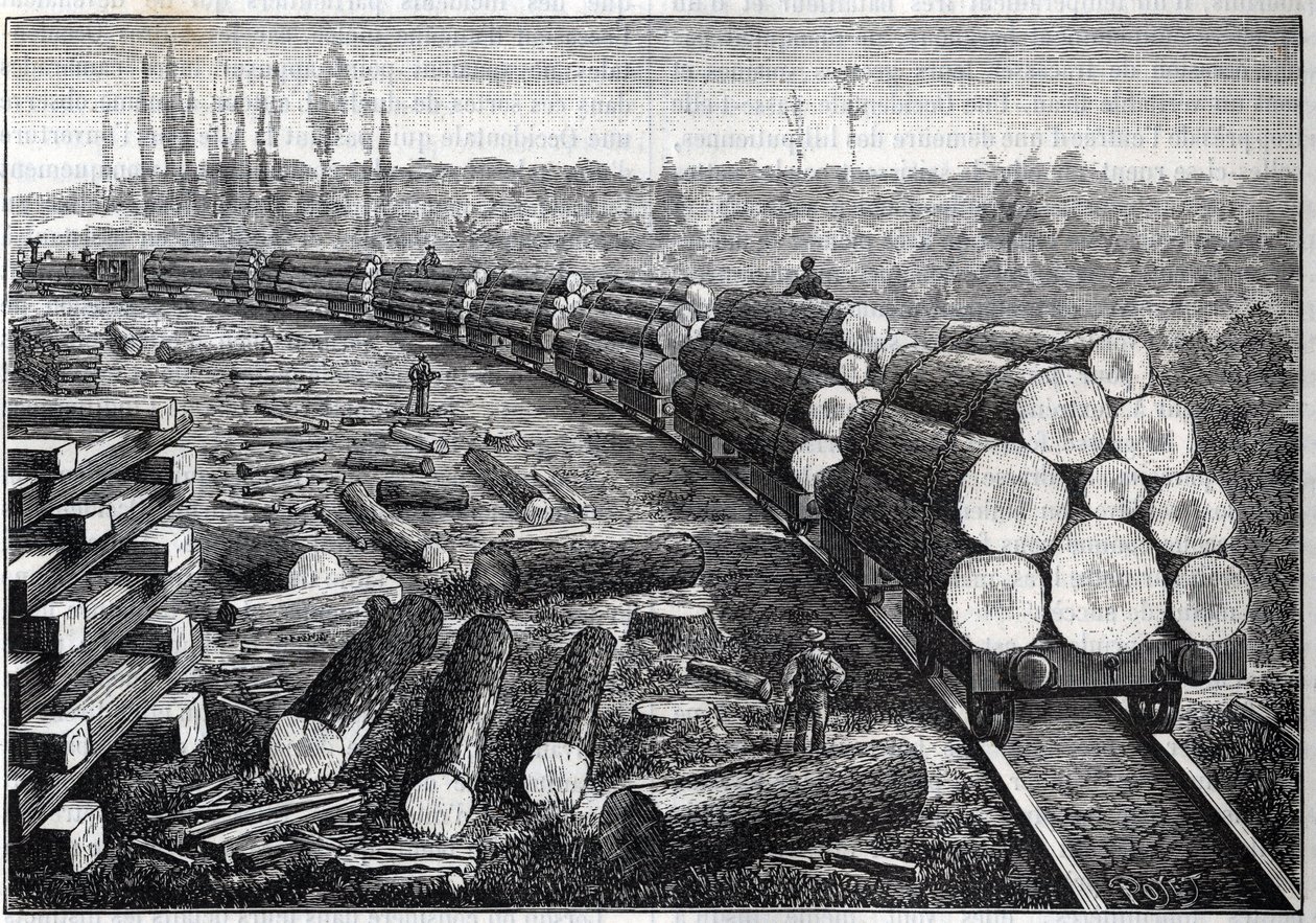 Exploitatie van Amerikaanse bossen. Tijdelijke spoorwegen met houten spoor. Wagons die boomstammen vervoeren. Gravure in 