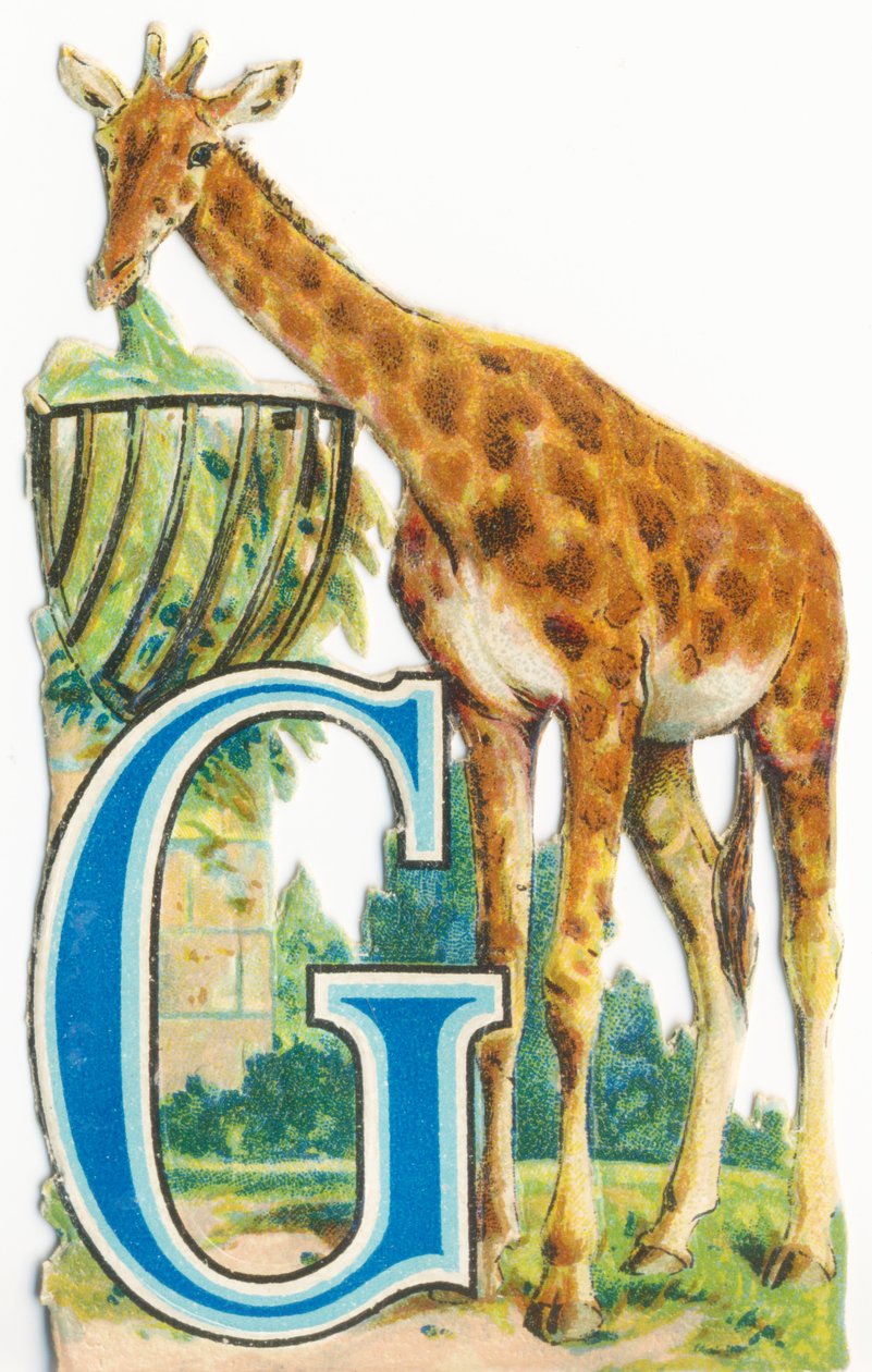 G: Giraffe door Unknown artist