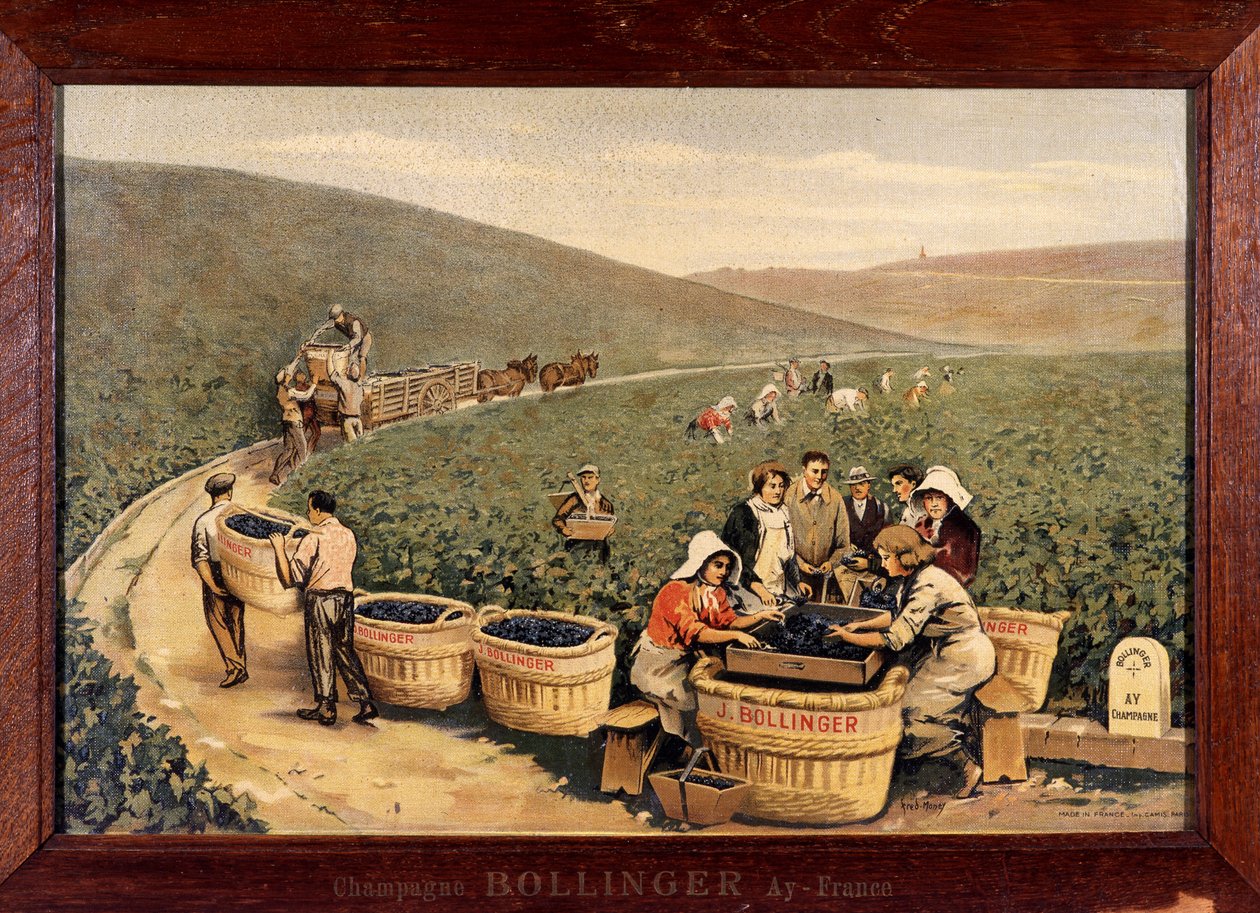 Oogst bij Bollinger. circa 1900. door Unknown Artist