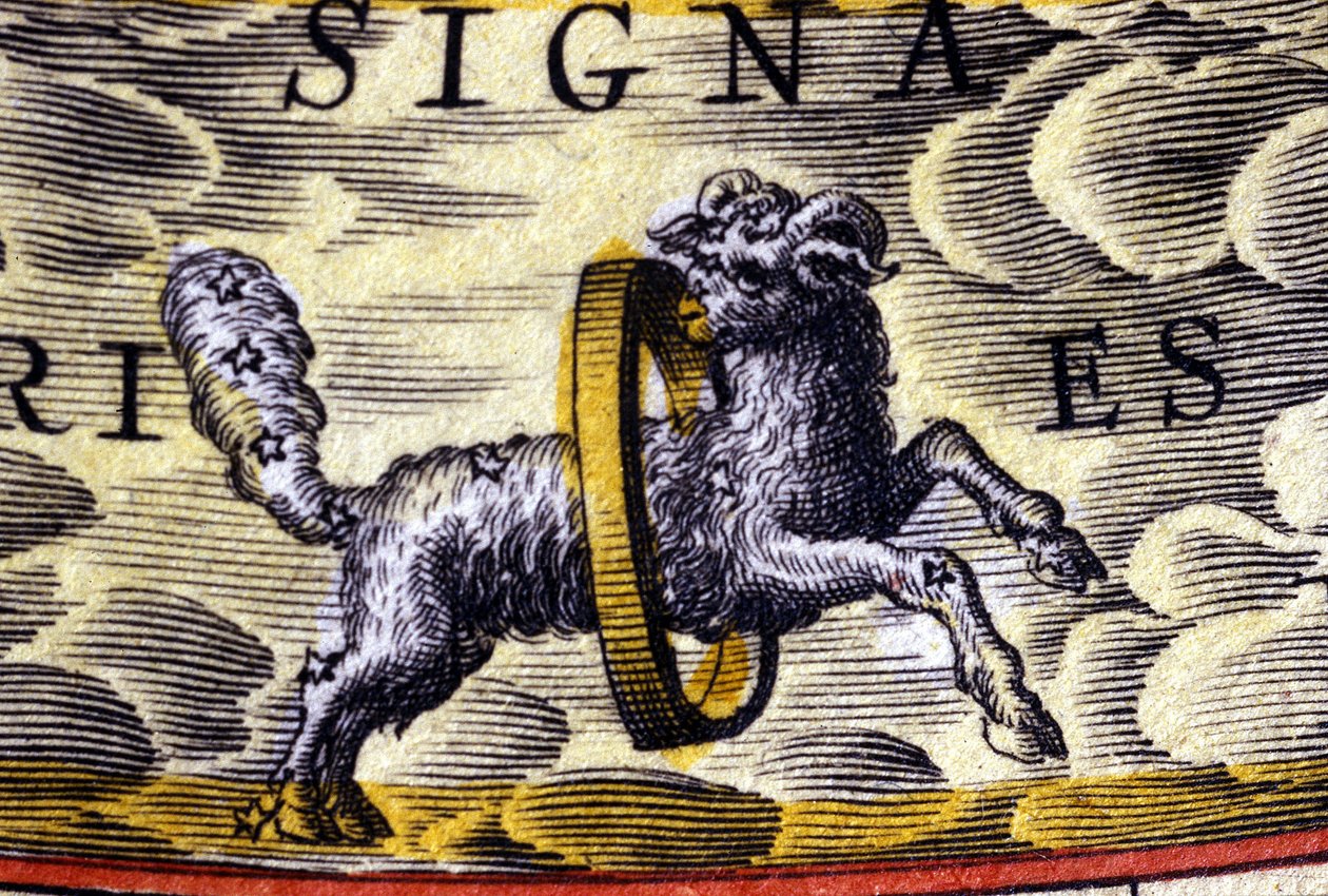 Horoscoop: sterrenbeeld Ram door Unknown artist