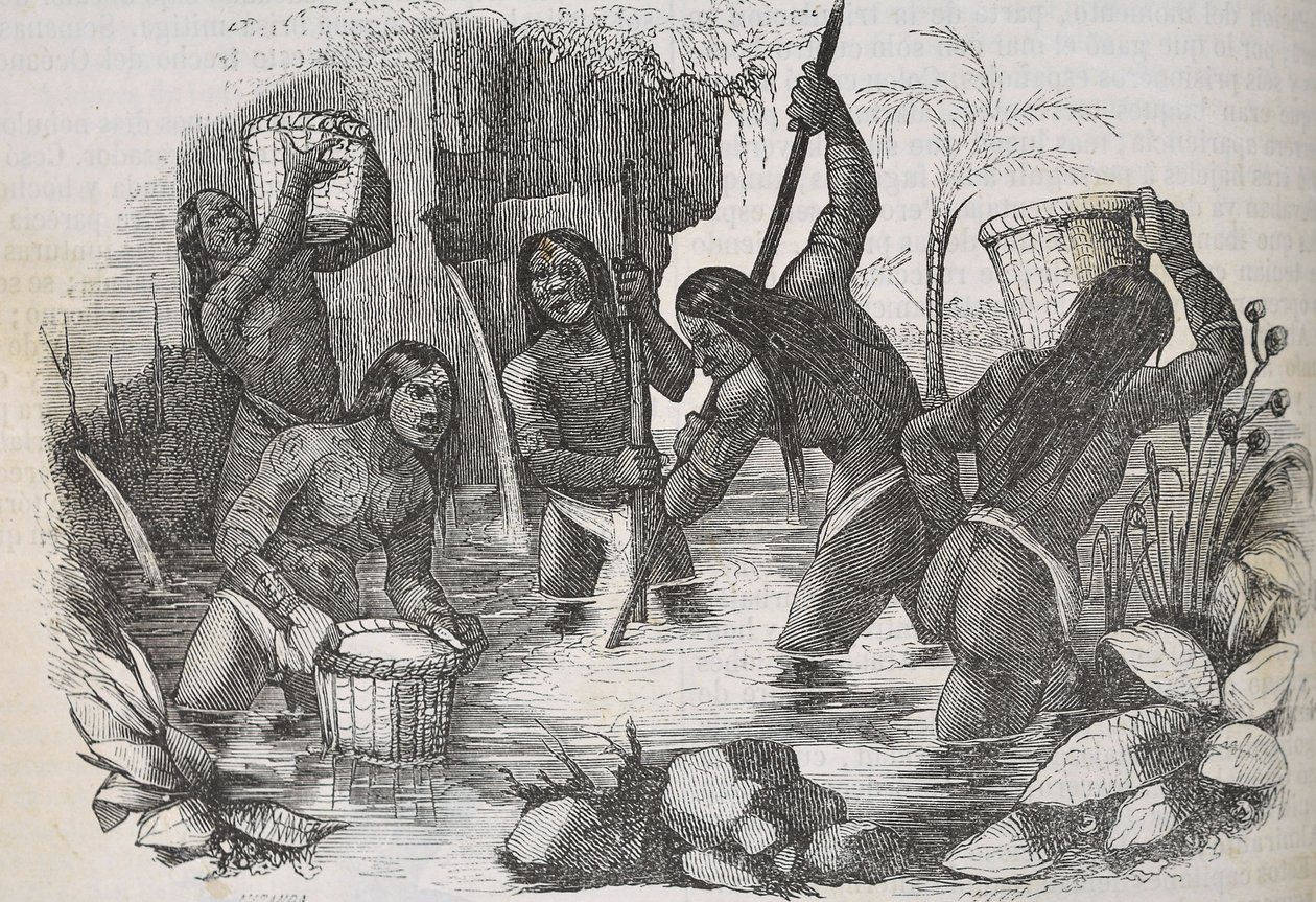Indianen van het eiland Hispaniola die goud pannen door Unknown artist