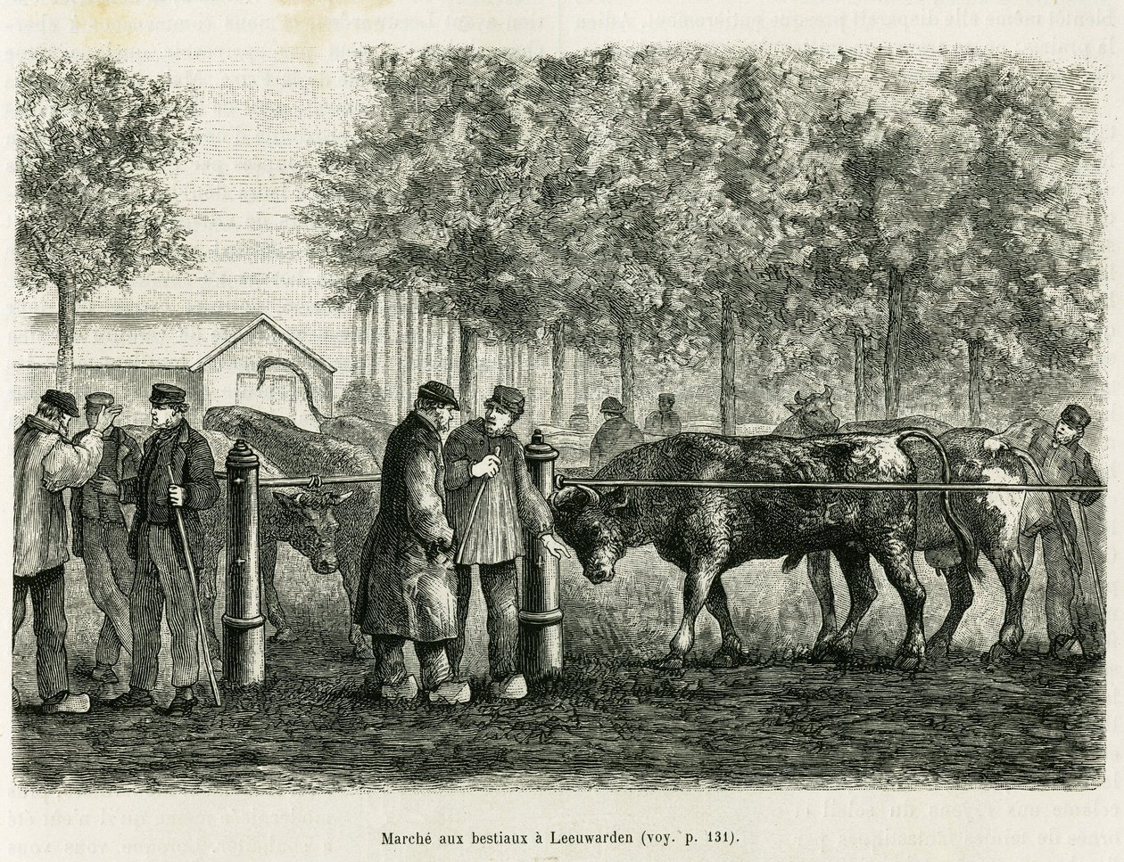 Vee dat loopt in Leeuwarden (Nederland). Gravure ter illustratie van het verhaal La Frise, gebaseerd op een relatie van een Nederlandse krant, in le tour du monde 1886, onder leiding van Edouard Charton (1807-1890), Hachette, Parijs. door Unknown artist