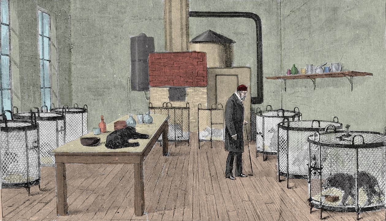 Louis Pasteur (1822-1895), Franse chemicus en natuurkundige in zijn laboratorium in Parijs door Unknown artist