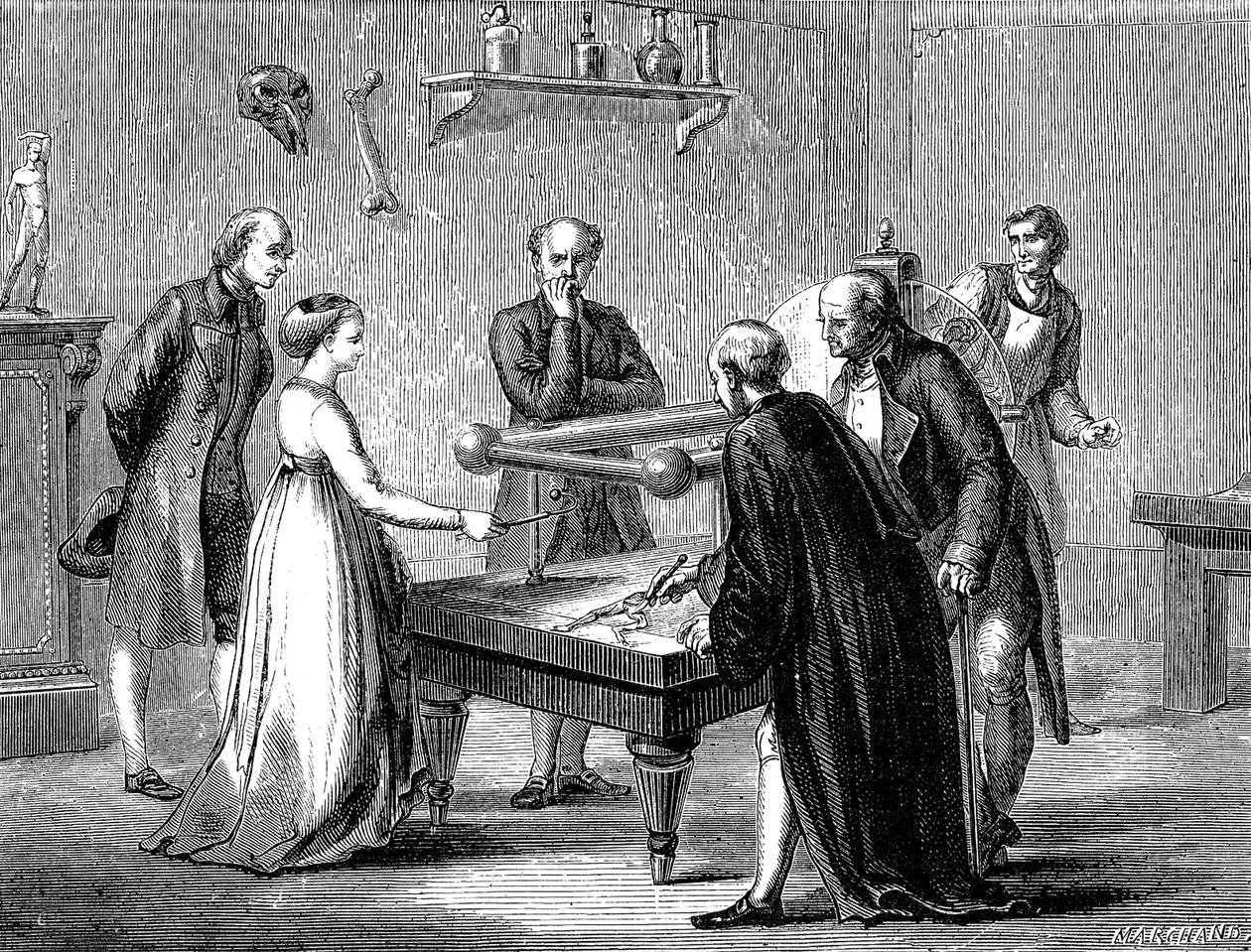 Luigi Galvani ontdekte in 1780 de prikkelbaarheid van de kikker spier door elektriciteit door Unknown artist