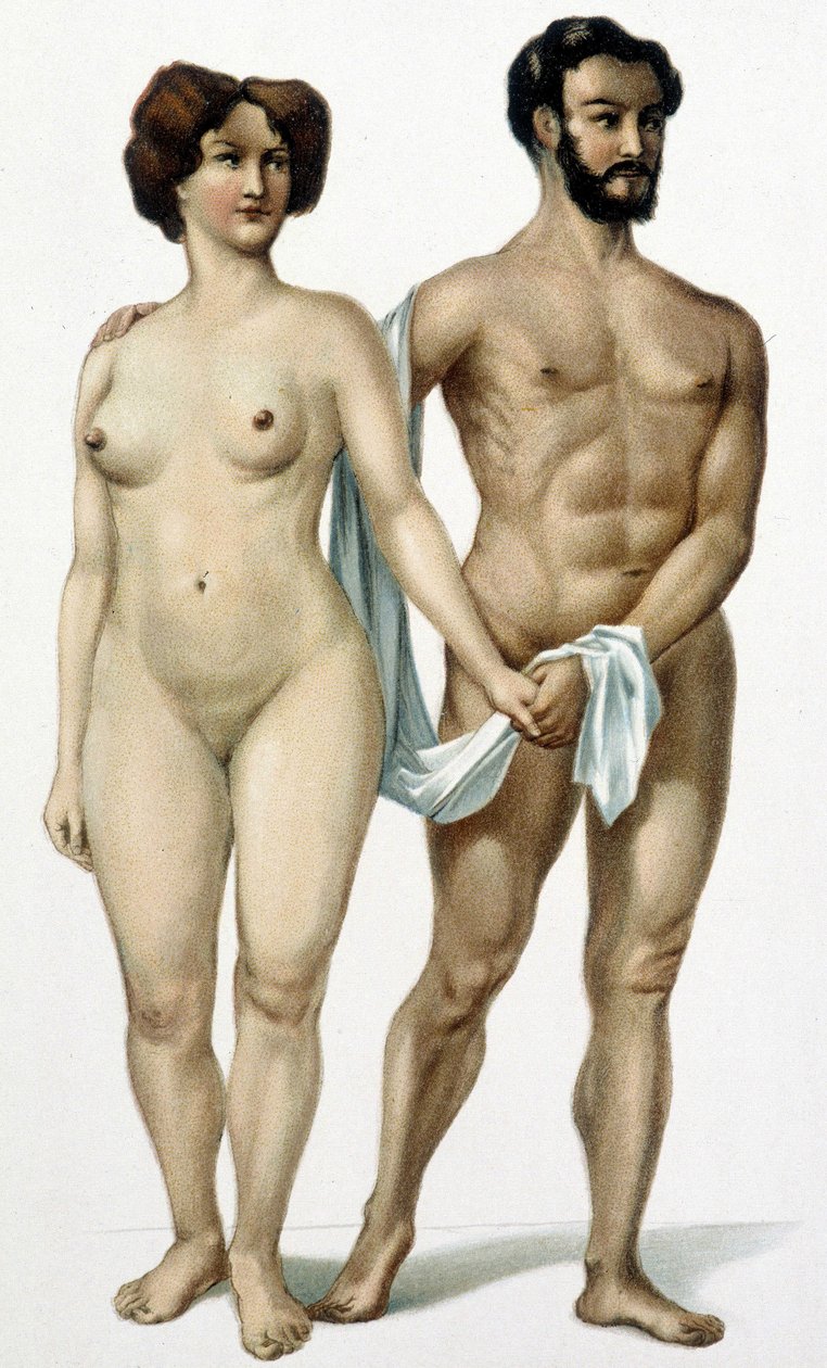 Man en vrouw - boek over geneeskunde, eind 19e eeuw door Unknown artist