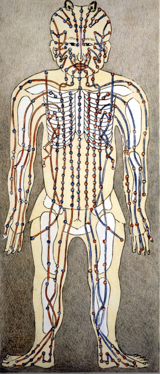 Geneeskunde. Diagram van het menselijk lichaam uit een acupunctuur verhandeling. Privébibliotheek, Milaan door Unknown artist