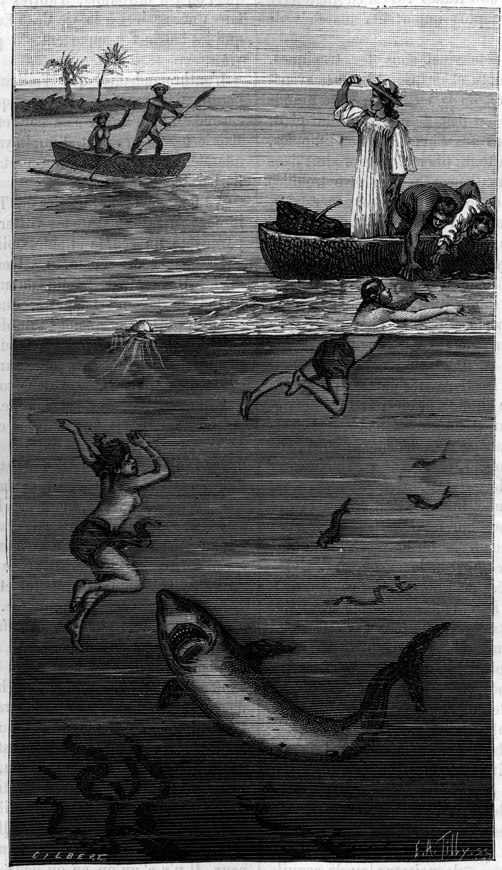 Parelmoercultuur in Tahiti: een parelmoerduiker aangevallen door een haai. (Volgens de documenten gecommuniceerd door de auteur). Gravure in 