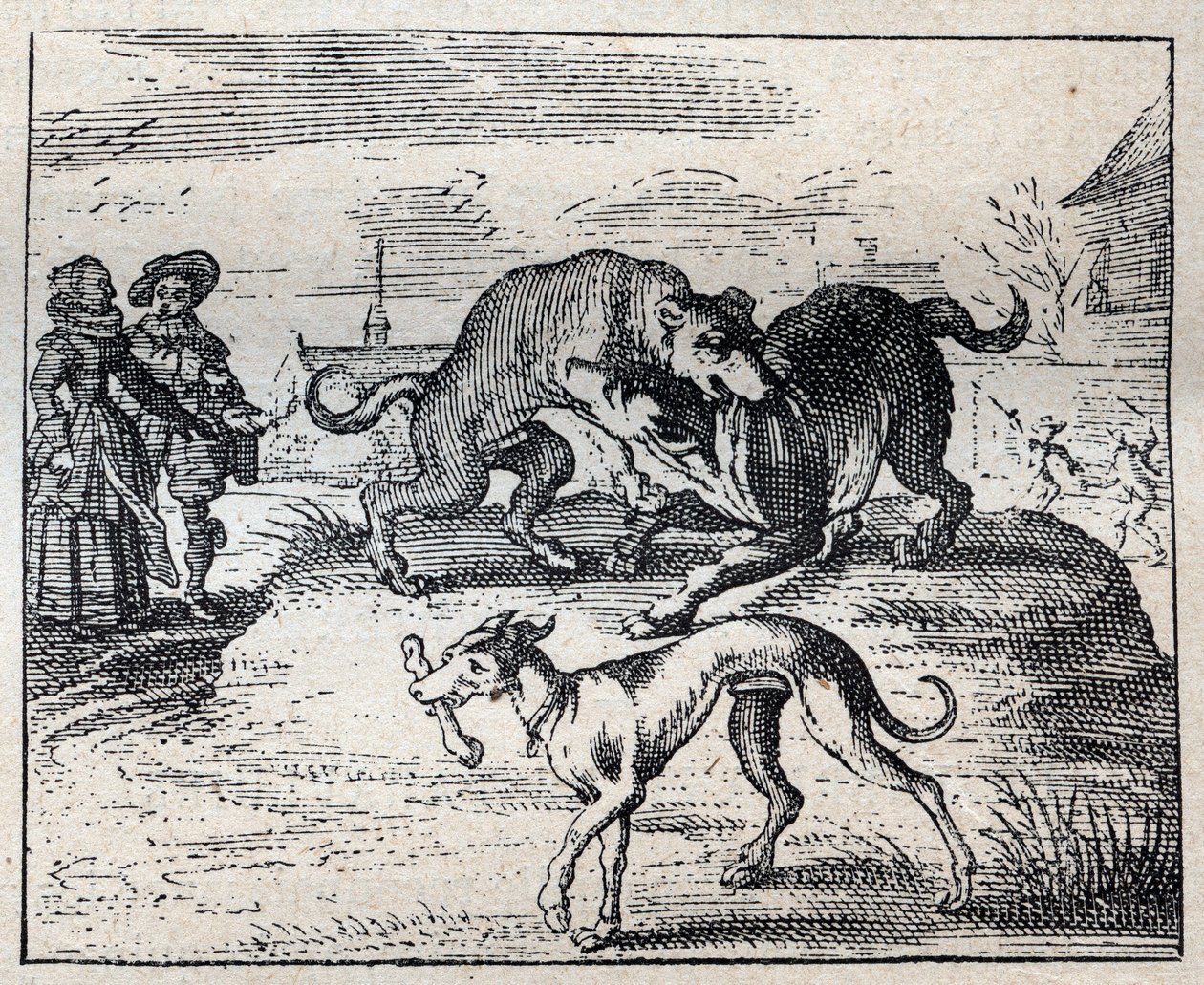 Oud Engels spreekwoord: twee honden vechten om een bot en de derde neemt het weg door Unknown artist