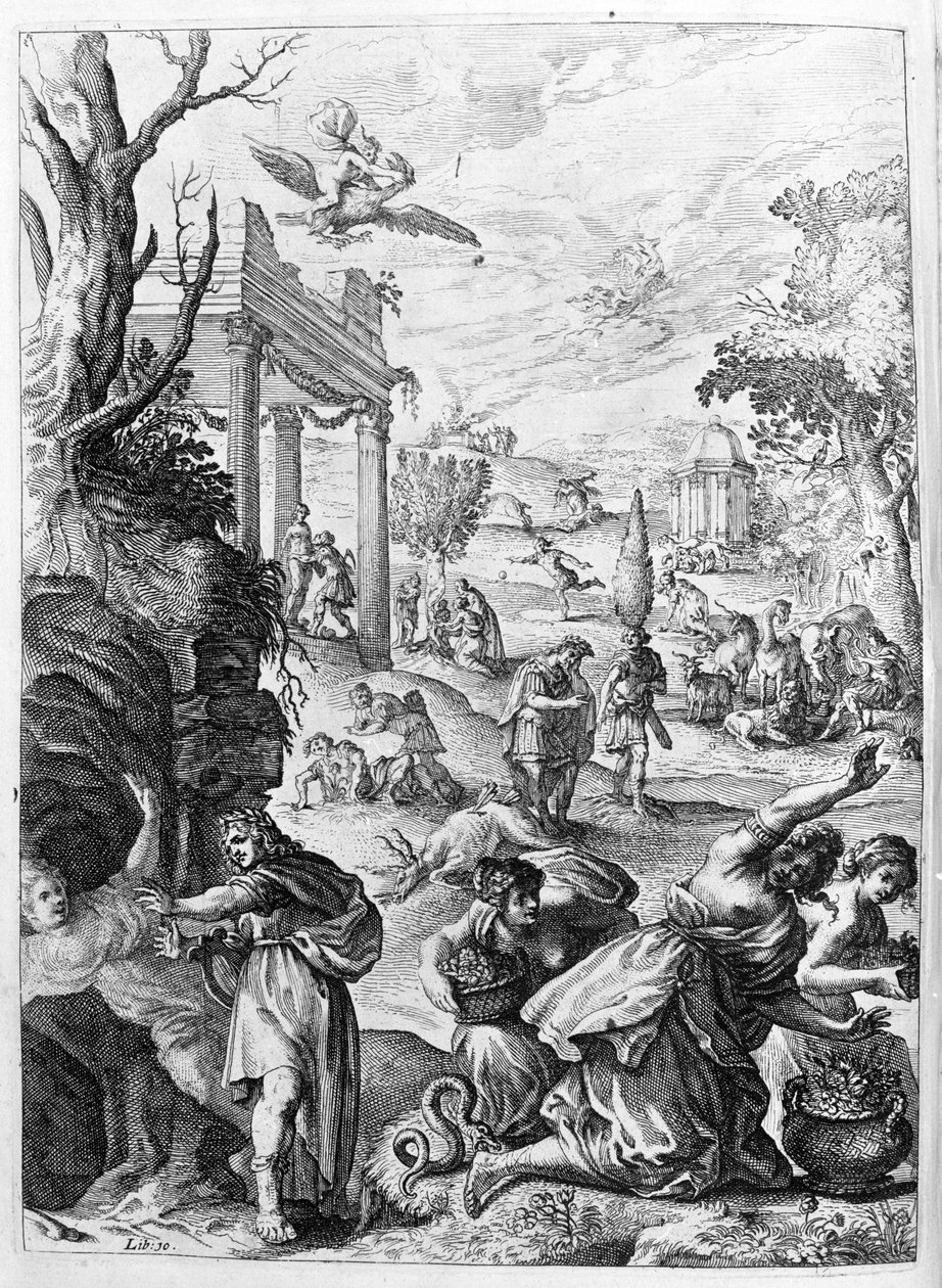 Illustratie voor boek 15 - P. Ovidii Nasonis Metamorphose libri XV met notities van Thomas Farnaby door Unknown artist