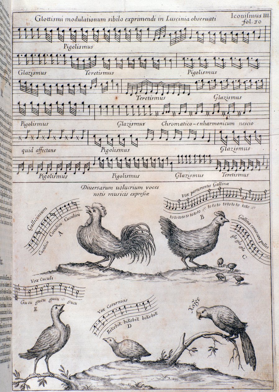 Pagina uit Musurgia (1650) door Unknown artist