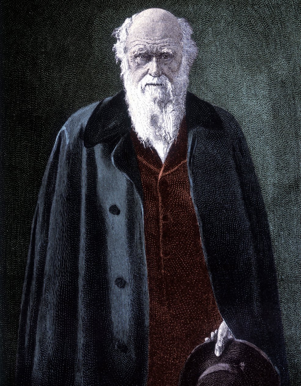 Portret van Charles Darwin, Britse natuuronderzoeker (1809 - 1882) door Unknown artist